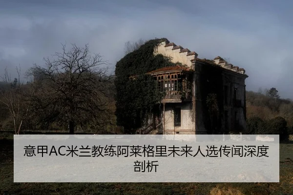 yi-jia-mi-lan-jiao-lian-a-lai-ge-li-wei-lai-ren-xuan-chuan-wen-shen-du-pou-xi-2-446.jpg