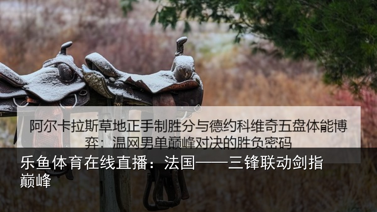 乐鱼体育在线直播:法国——三锋联动剑指巅峰