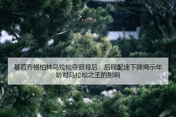 ji-pu-qiao-ge-bo-lin-ma-la-song-duo-guan-bei-hou-hou-cheng-pei-su-xia-jiang-jie-shi-nian-ling-dui-ma-la-song-zhi-wang-2-698.jpg