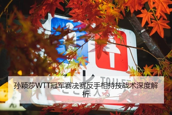孙颖莎WTT冠军赛决赛反手相持技战术深度解析